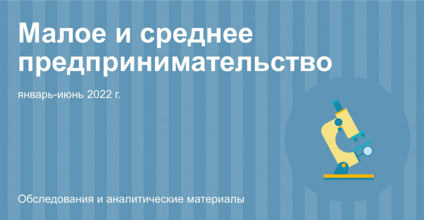 Основные показатели деятельности малых предприятий (без микропредприятий) Московской области за январь-июнь 2022 года